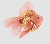 Flame Goldfish Decoration
