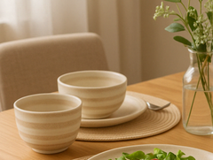 Ceramic Bowl Set of 2