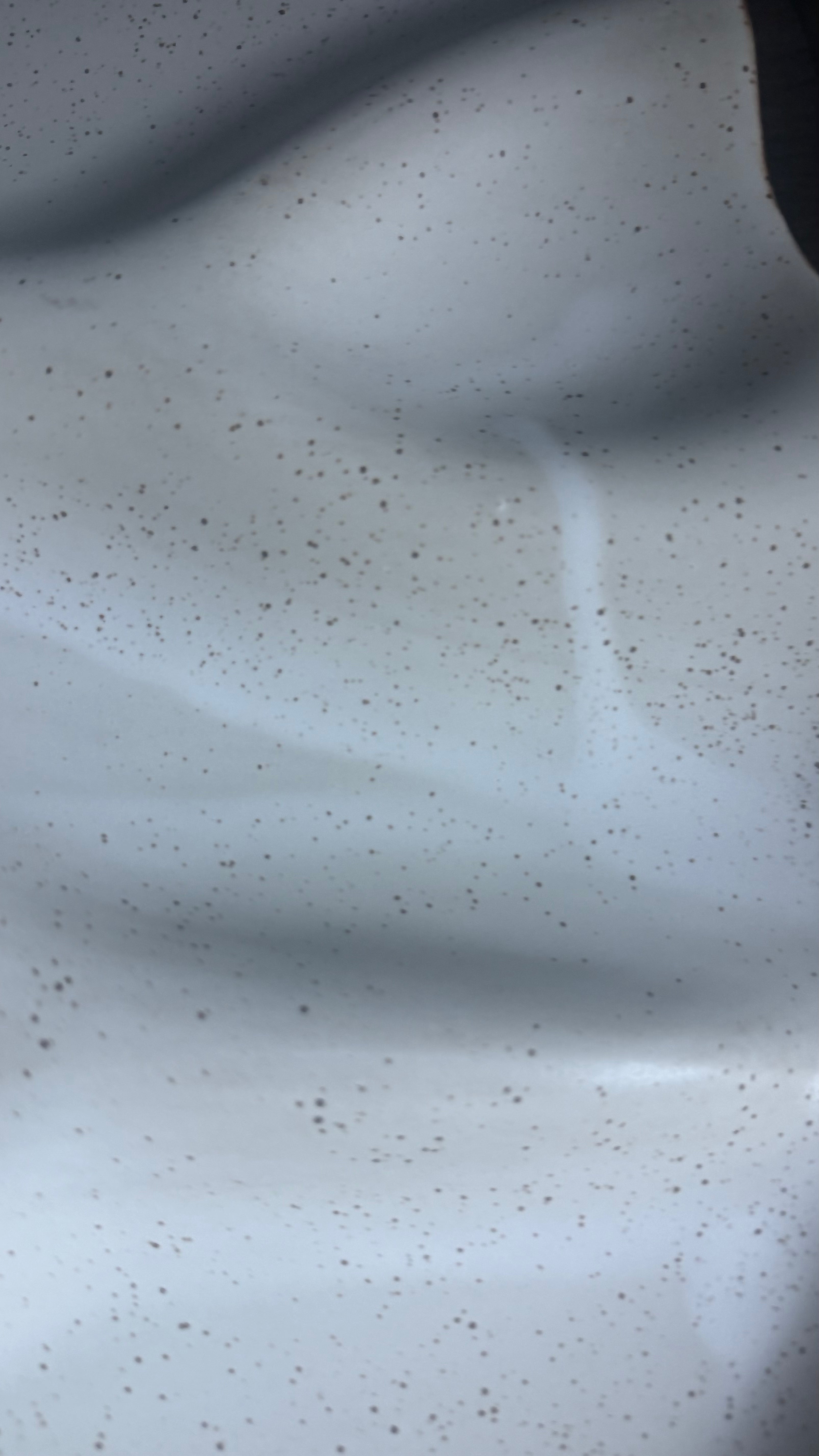 Francis Ceramic Serving Board - Imperfect