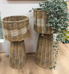 Jacka Planters S/2