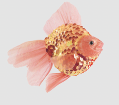 Flame Goldfish Decoration
