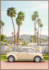 Classic Car VW