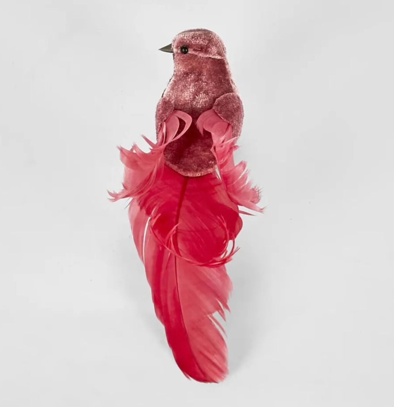 Delicia Birds Box of 6