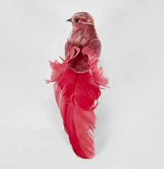 Delicia Birds Box of 6