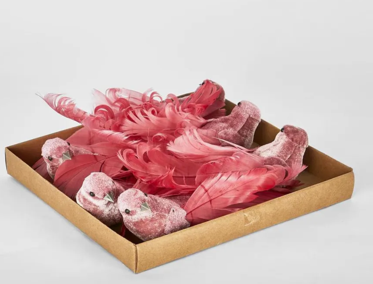 Delicia Birds Box of 6