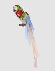 Aurora Sequin Parrot  80cm
