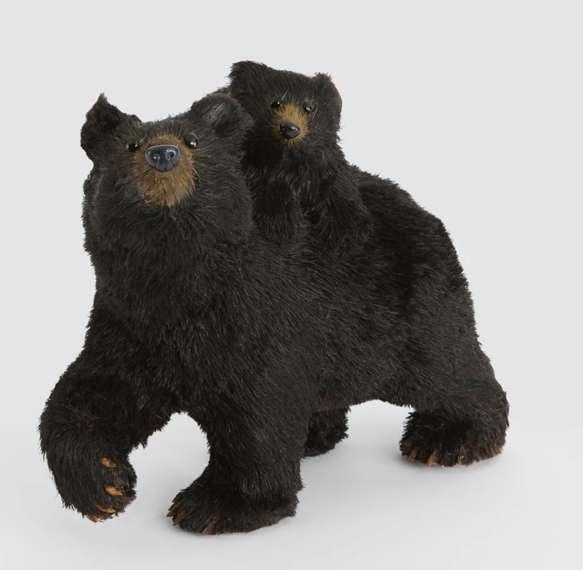 Cocoa Mumma Bear and Cub