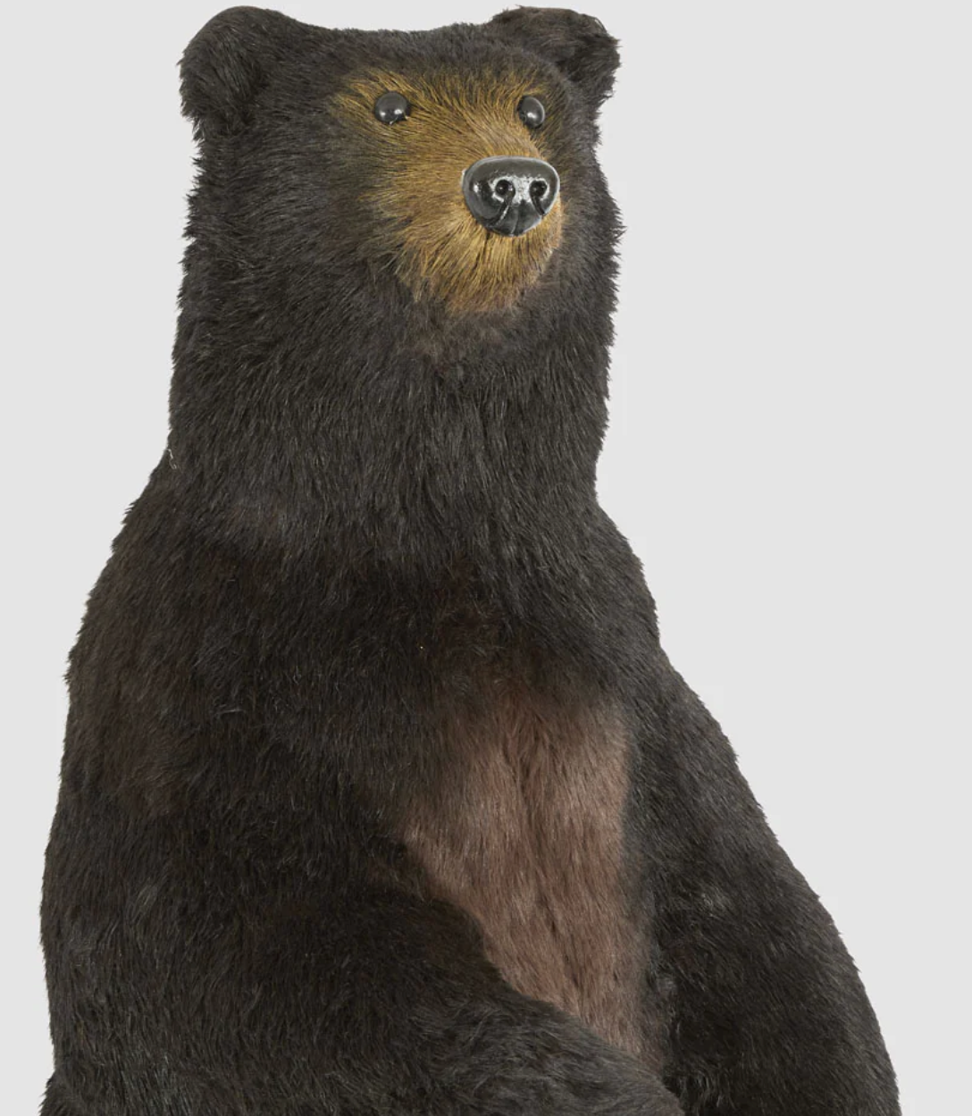 Giant Cocoa Bear 115cm