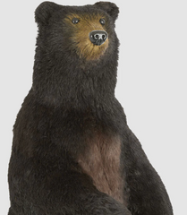 Giant Cocoa Bear 115cm