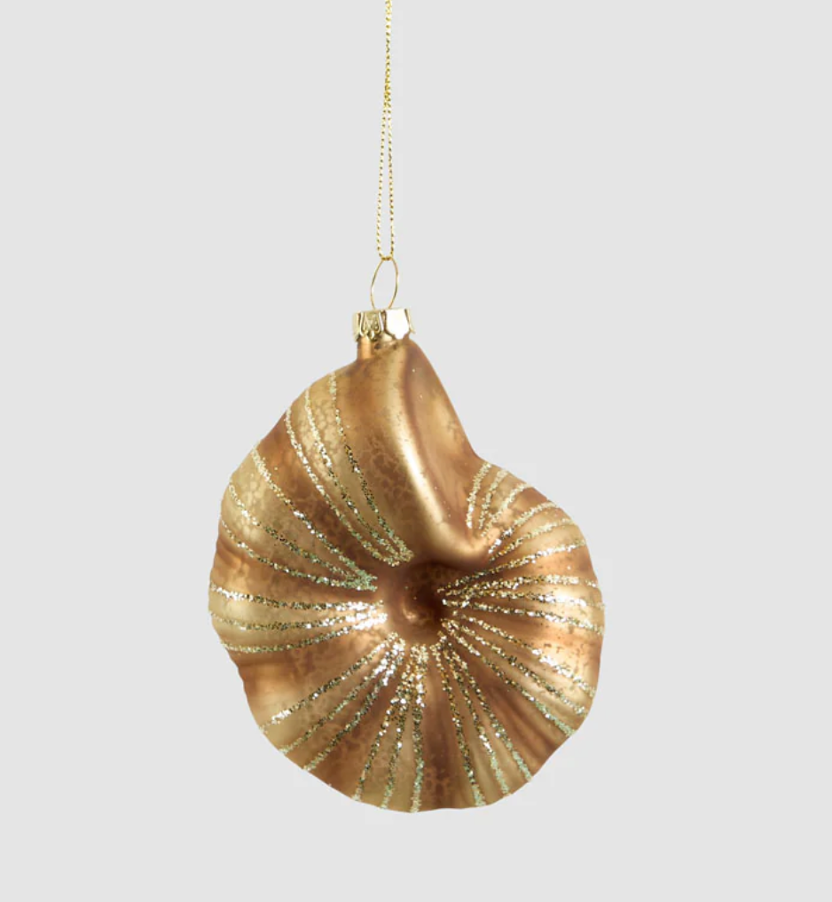 Bronze Shell