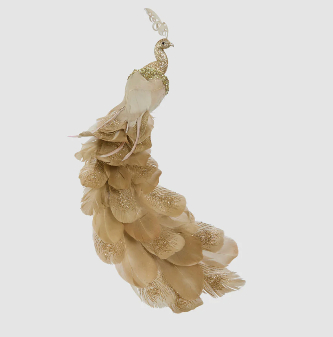 Flamenco Gold Peacock 45cm