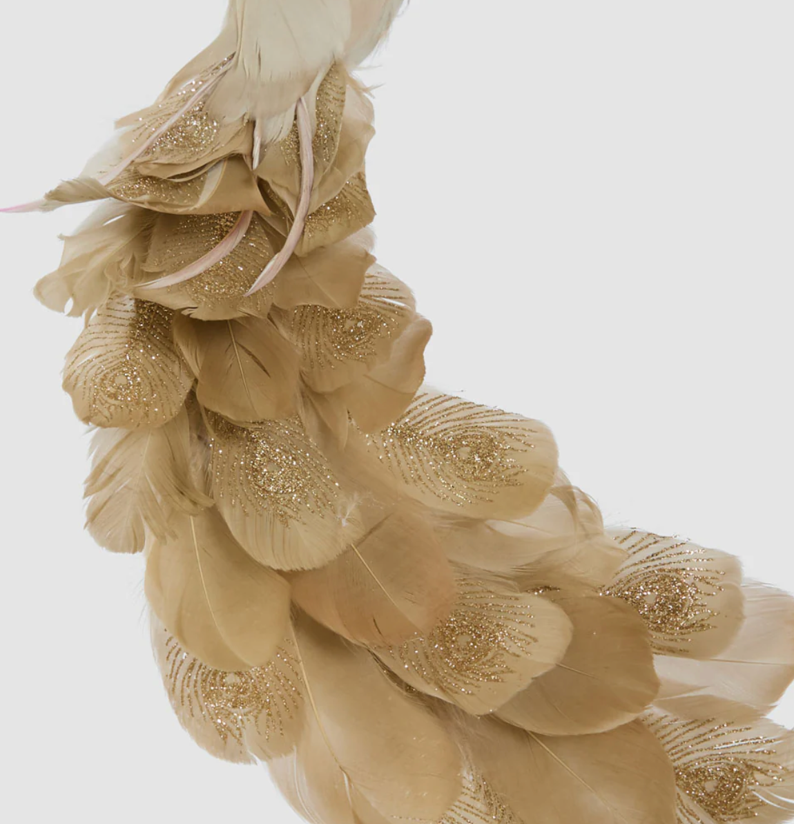 Flamenco Gold Peacock 45cm