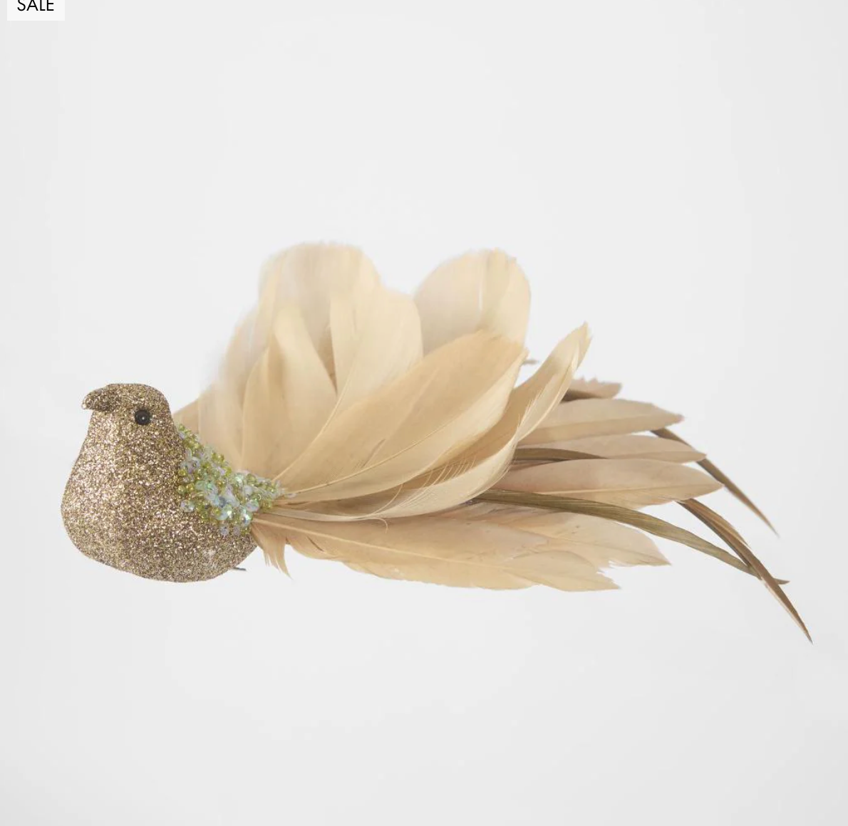 Fantail Glimmer Bird
