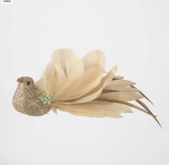 Fantail Glimmer Bird