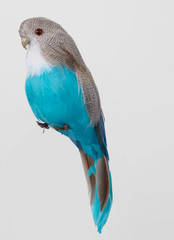 Budgie Blue Set of 2