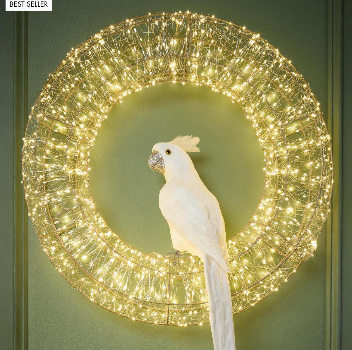 Crawford Parrot 70cm